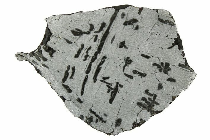 Etched Canyon Diablo Meteorite Slice ( g) - Arizona #329375